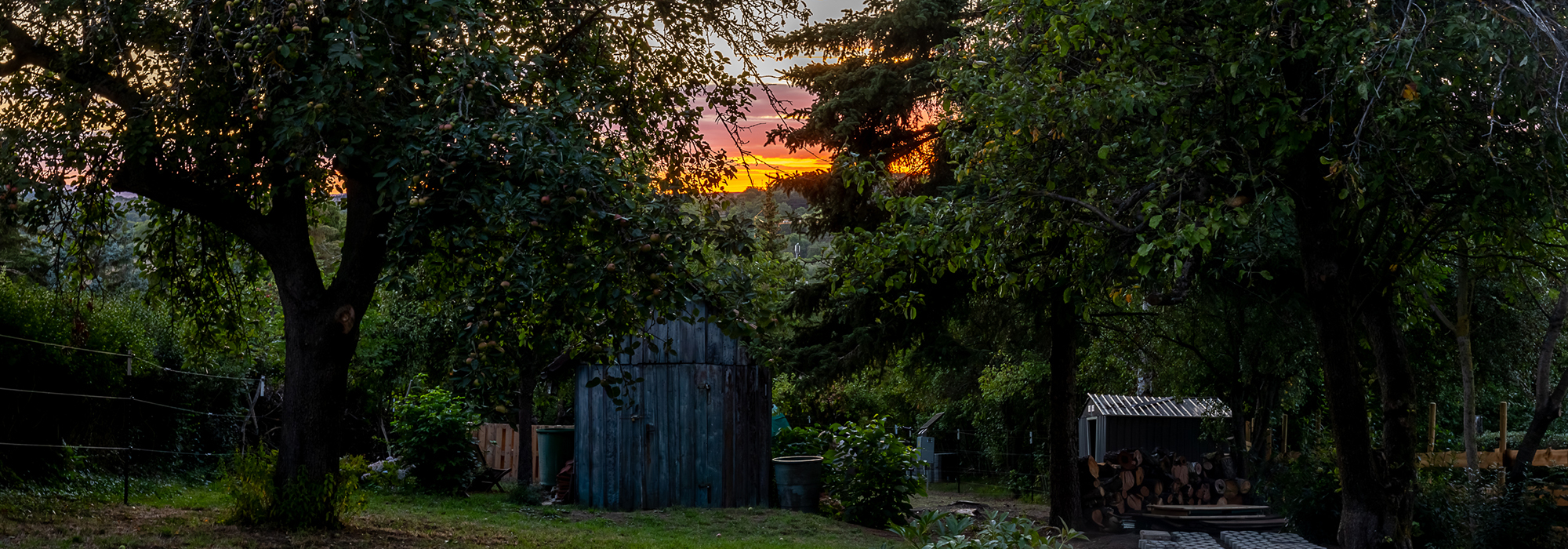 alpaka_aura_erfurt_header_05